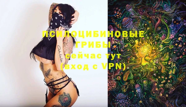 хмурый Алзамай