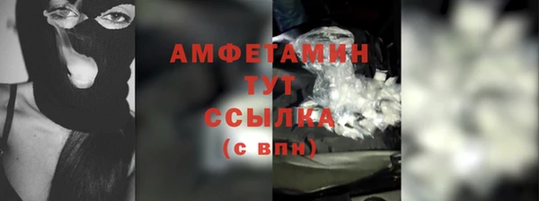 хмурый Алзамай