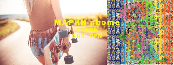 хмурый Алзамай