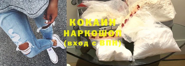 хмурый Алзамай